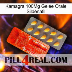 Kamagra 100Mg Gelée Orale Sildénafil new01